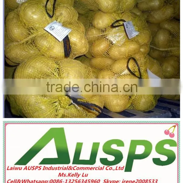 China Fresh Potato With Best Price photo-2