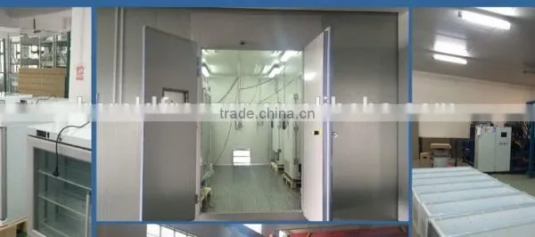 Mini Laborotary Freeze Dryer Medical Fridge Vacuum Freeze Dryer photo-3