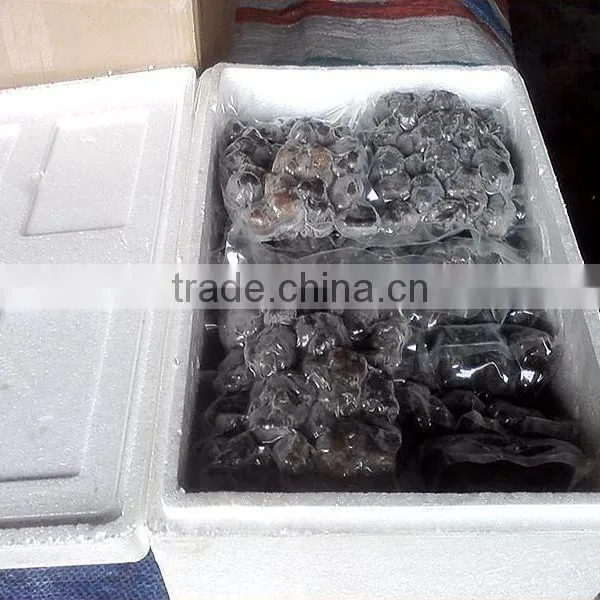 Best Price Frozen Truffle (Tuber Indicum) photo-3