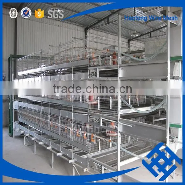 Hot !!! Used Poultry Battery Cages for Sale photo-6