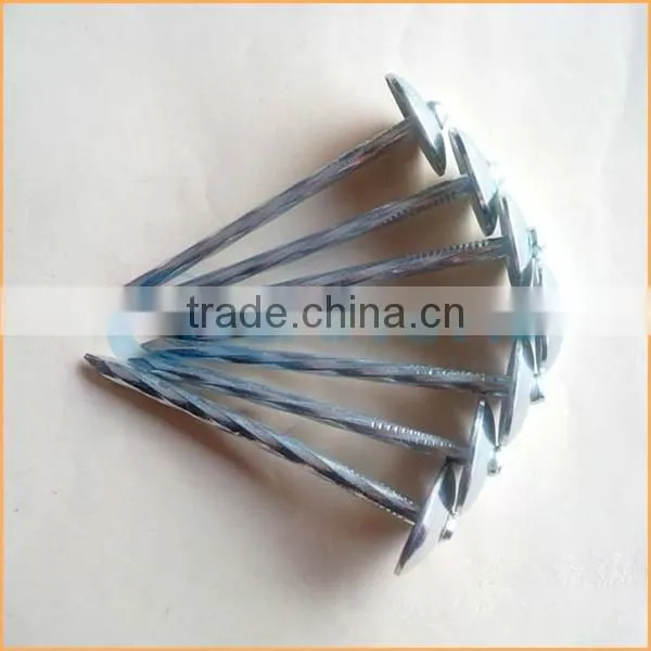 Top Quality Metal Iron Nail Type Roofing Nail With Umbrella Trusted Chuanghe Suppliers From Com photo-6