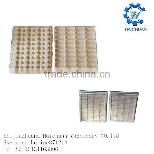 Customized Pulp Bottle Carton Tray Mold photo-2