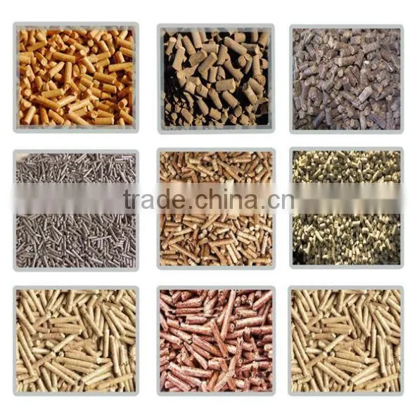 Cheapest Shrimp Poultry Feed Pellet Making Machine photo-3