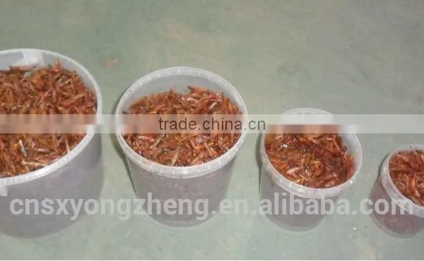 For Guinea Fowl and Blue Peacock Pet Food Microwave Dried Locusts photo-2