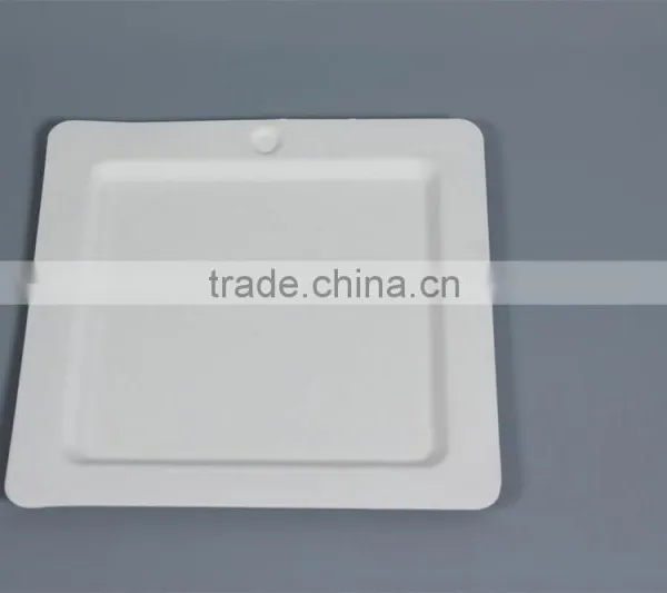 Disposable 6 Inch Plates Made From Bagassse for Cake 210x210x7 HR70 photo-2
