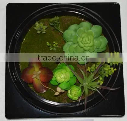 SJ400930 ARTIFICIAL CACTUS ARRANGEMENT photo-2