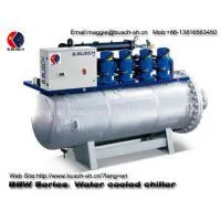 BUSCH Water Cooling Screw Chiller for Cooling Water and Air Conditioning Plant photo-3