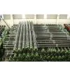 API 5ct Seamless Casing Steel Tubes
