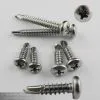 Lock Screws