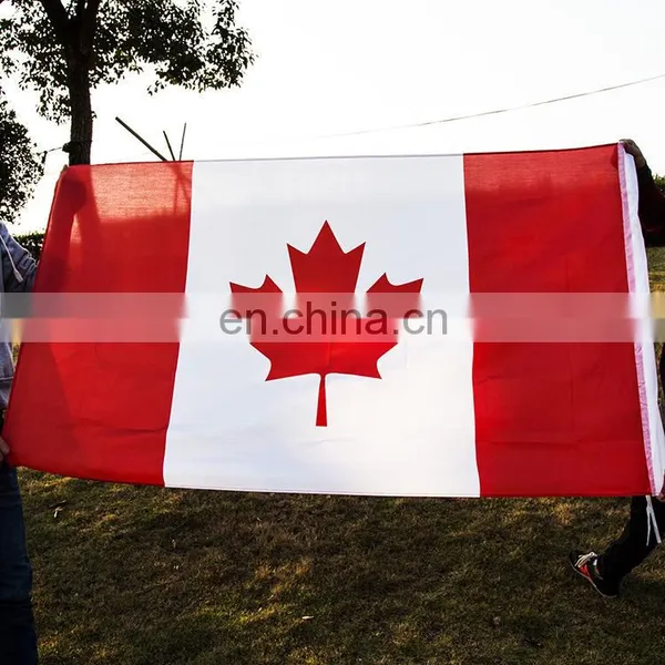 Promotion National Custom Flag FGF-1010 photo-6