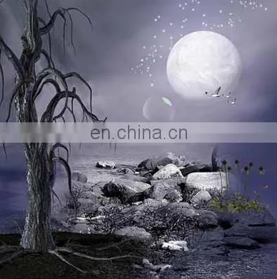 Top Quality Professional OEM Printing 3D Lenticular Printing Landscape Poster photo-3