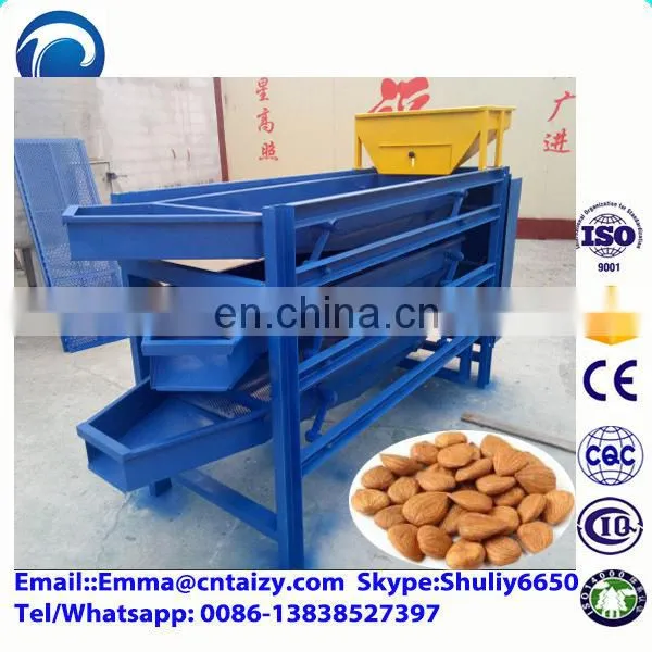 Best Selling Almonds Sorter Machine Chestnut Grader Machine Hazelnut Grading Machine photo-3