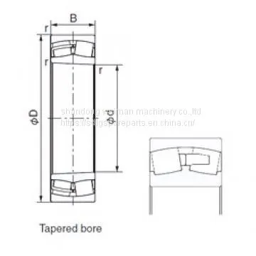 Cylindrical Roller Bearings