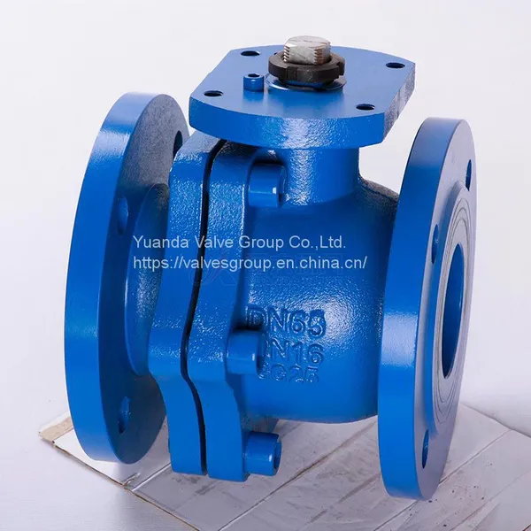 DIN Cast Iron Check Valve Q41F-16 China Famous Valves DIN Check Valve DIN Gate Valve
