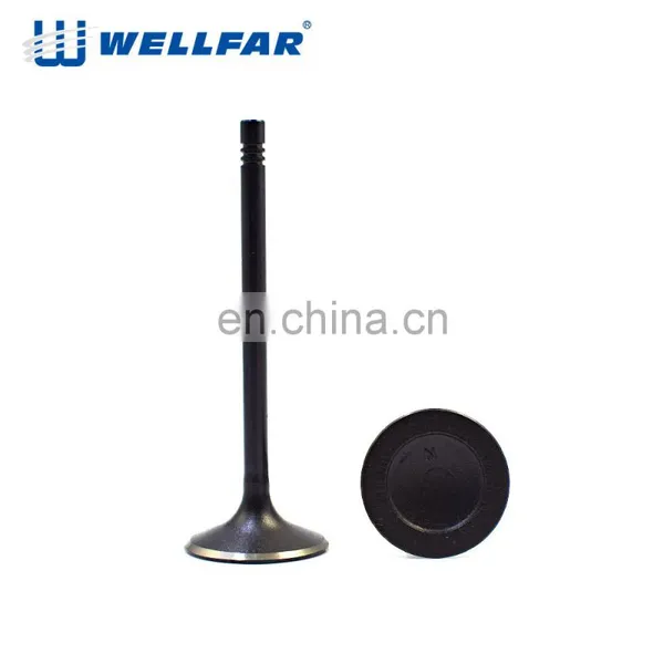 Factory Top Quality Automobile Parts 12575793 Inlet Exhaust Valve photo-3