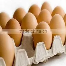 Good Quality 12 Holes Recycled Paper Molded Pulp Eggs Tray Factory photo-5