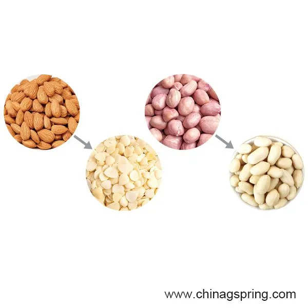 Industrial Wet Peeler Machine Nuts Peeling Machine Automatic Peanut Red Skin Peeling Machine for Peanut Processing photo-3