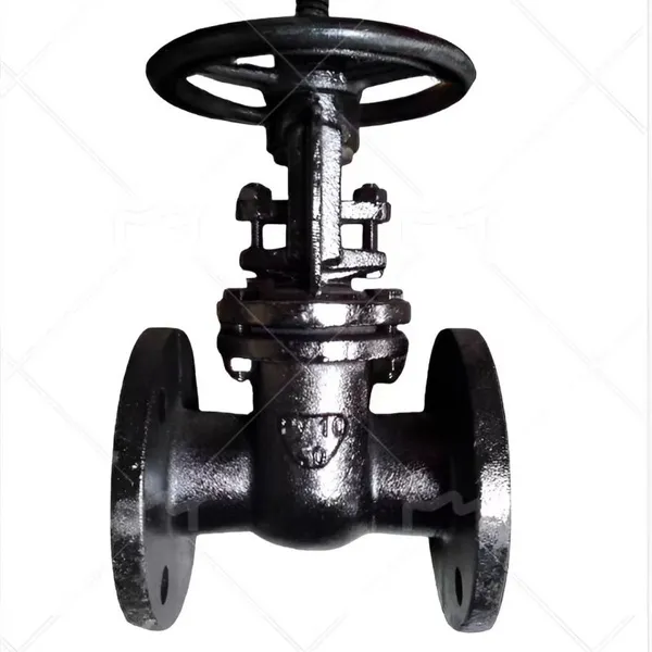 GOST Standard Cast Iron Gate Valve Flange End Rising Stem Soft and Hard Seal Metal Seat Industrial Water Control Valve photo-5