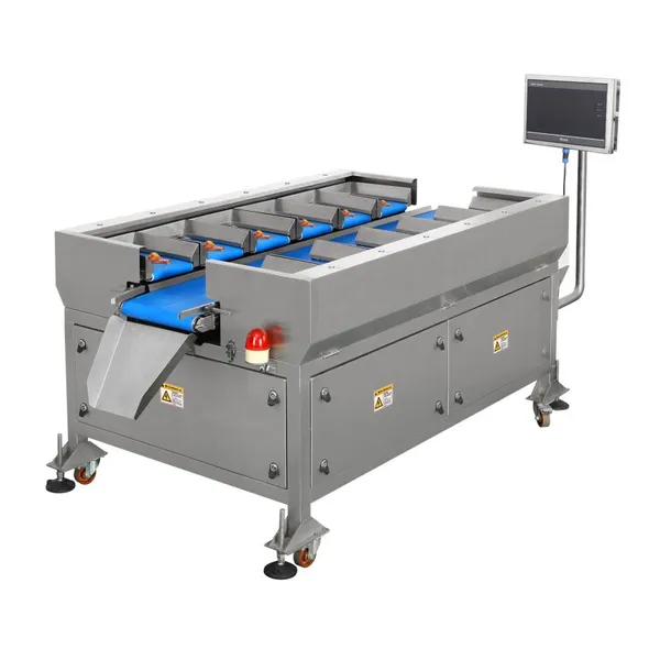 16 Head Belt Weigher Manual Belt Counterweight Weigher for Raw Meat Chicken Fish Steak photo-5