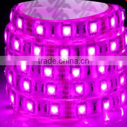 DC12V LED SMD5050 60 LED Lighting Warm White Flexible LED Strip Lights photo-4
