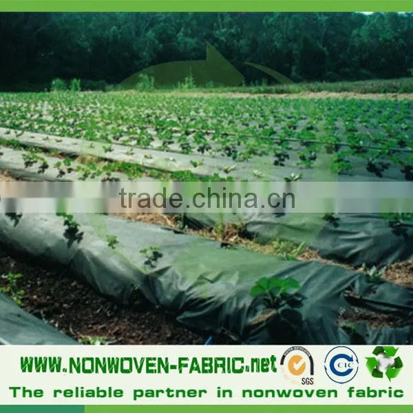 Made in China Anti-uv Breathable Nonwoven Fabric Landscape Garden Landscape photo-5