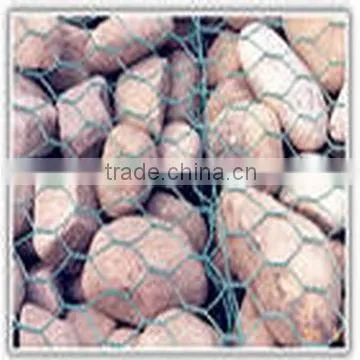 Hexagonal Iron Wire Mesh photo-4