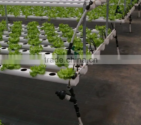 Garden / Commercial Greenhouses and Hydroponic Growing Kits photo-3
