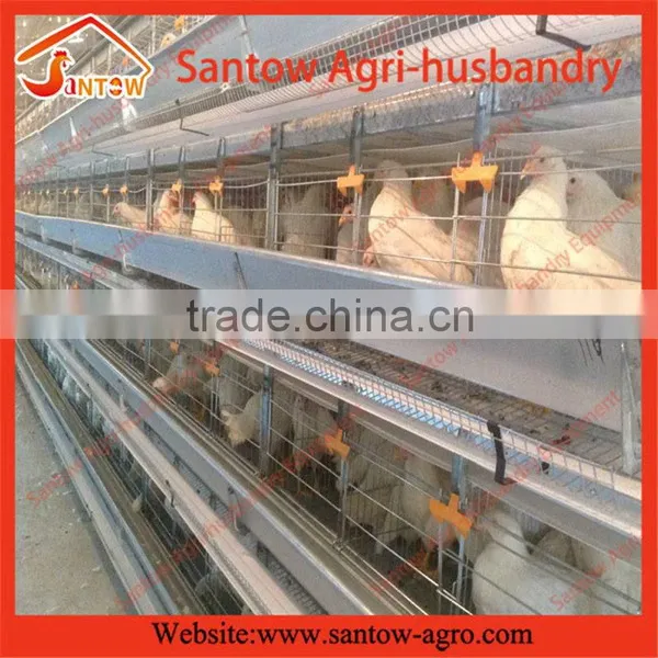 Stable Steel Structure Professional Chicken Egg Layer Cage Chicken Egg Layer Farming photo-4