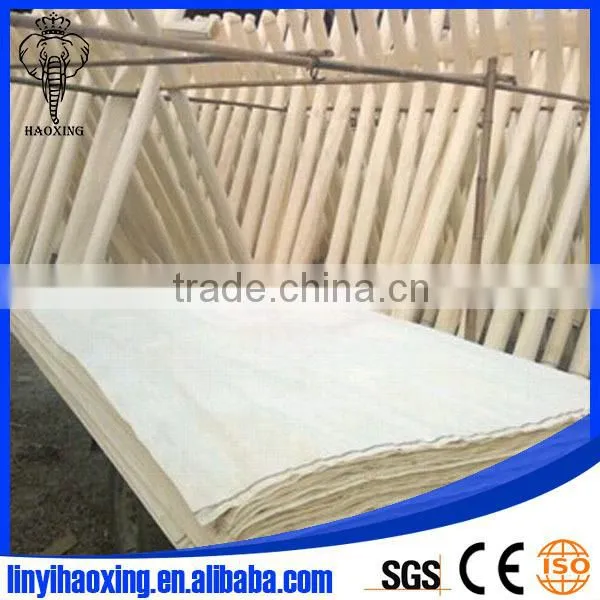 Bleached Poplar Plywood to India Buyer With Trade Assurance photo-5