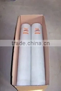 Fiberglass Mesh/ Fiberglass Reinforcing Mesh