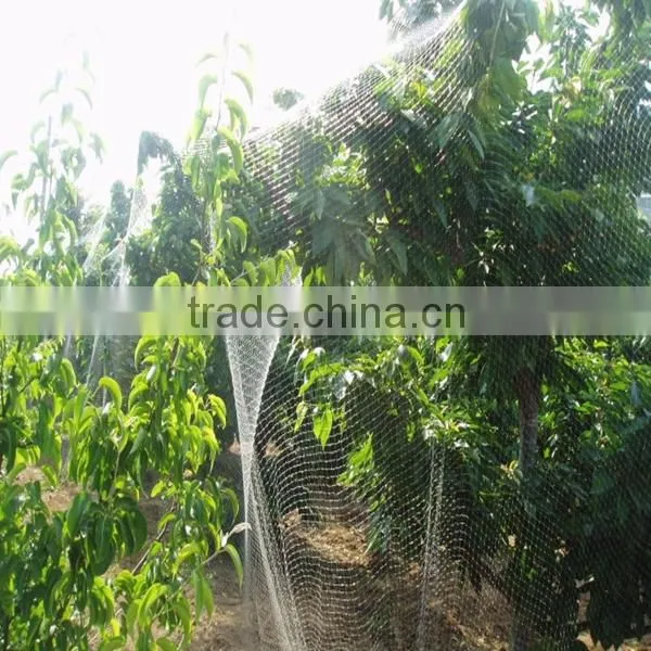 Plastic Anti-Bird Mesh/ Pond Covering Mesh/Anti-Bird Mesh photo-5