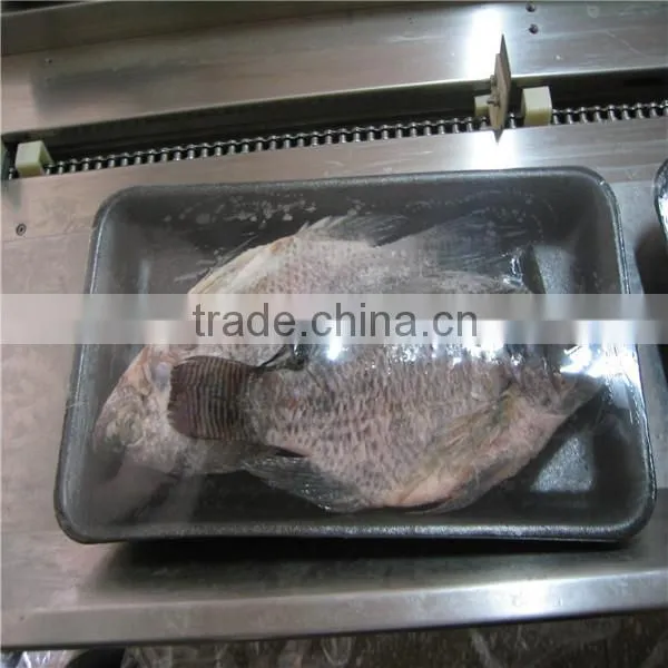 Pillow Type Frozen Seafood, Fish Shrink Packaging Machine photo-2