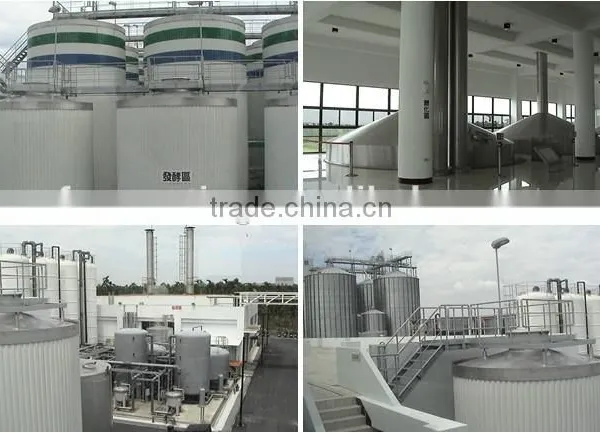 Large Brewery Winery Fermentation Tanks photo-4