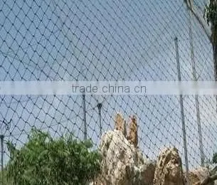 Anping Aviary Mesh for Animal Protection photo-4