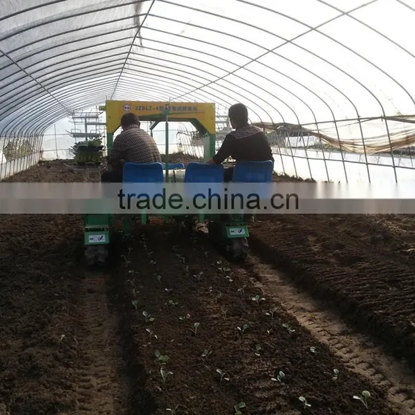 Two Row Transplanting Onions by Hand in China photo-4