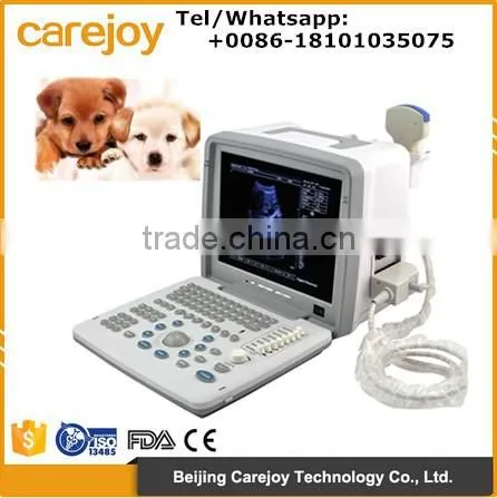 Low Price Medical Ultrasound Machine for Vet Animal Veterinary Ultrasound Scanner With Convex Probe
