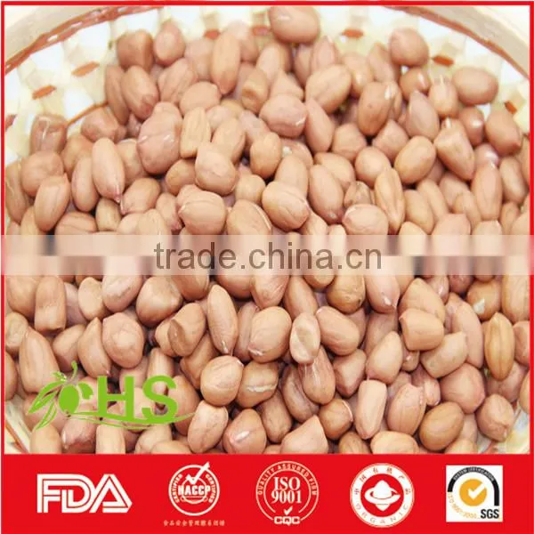 Fresh Red Skin Peanut Kernel on Hot Sale photo-6