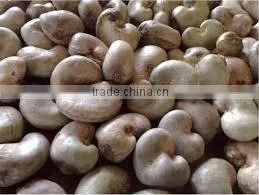 Natural Raw Cashew Nuts / Raw Cashew Nuts for Sale