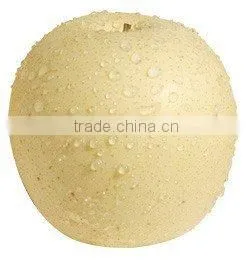 Golden Pear Fruit photo-5