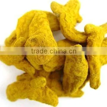 Nizamabad Turmeric photo-2