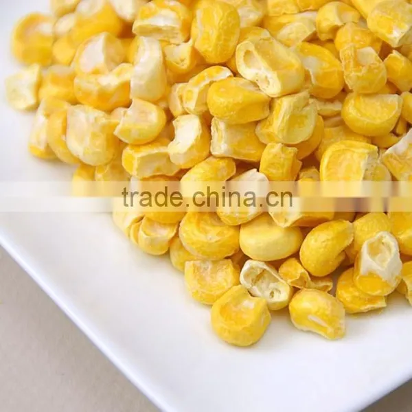 Hot Saled Dried Food FD Corn Powder photo-3