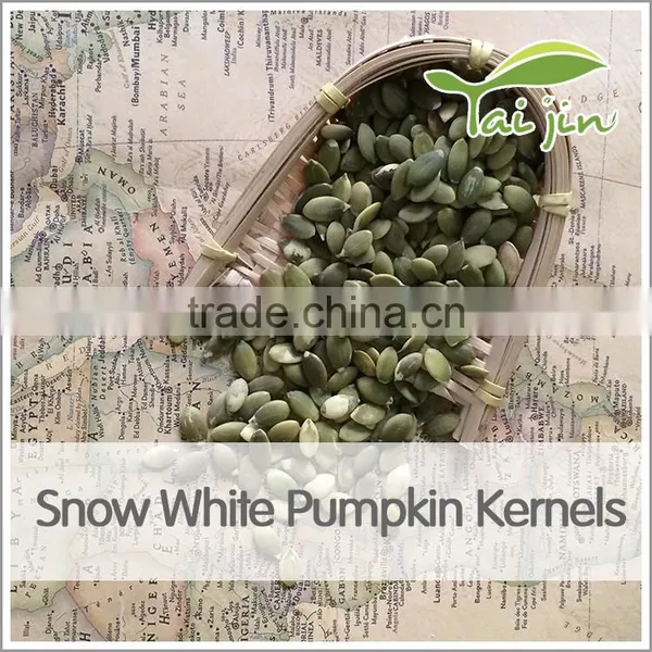 Top Quality Pumpkin Seeds Snow White photo-2