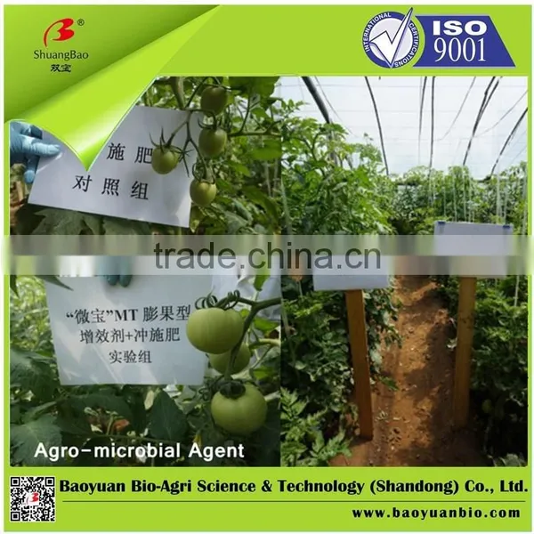 Multifunctional Agro-microbial Agent photo-3