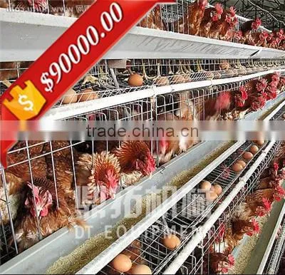 Automatic Egg Collection Equipment A Type Poultry Farm Layer Cage Equipment