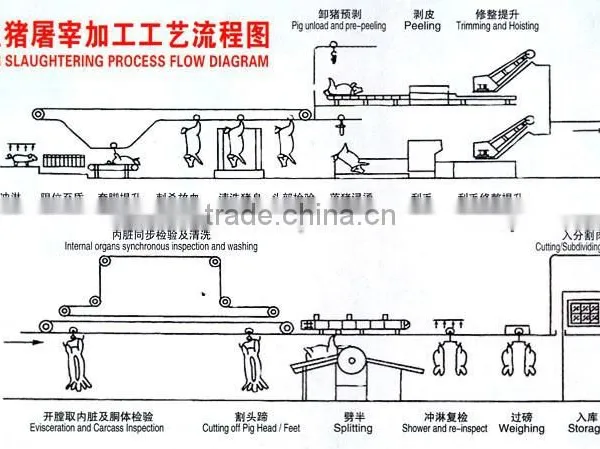High Automatic Pig Slaughterhouse