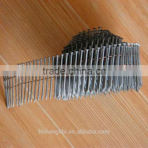 High Quality Coil Nails photo-2