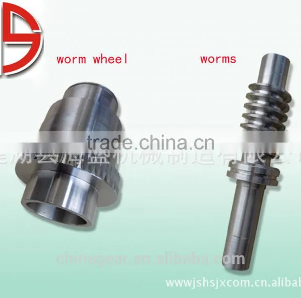 China Manufacturer Worm and Worm Gear for Door Controller in Oil Machine