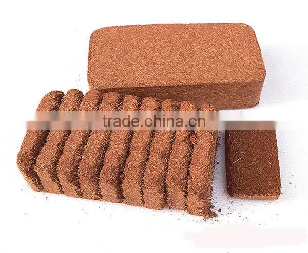 4 Ton/hour Industrial Coco Peat Rotary Drum Dryer/Cire Fibre Drying Equipment for Coconut Shell Machine photo-3