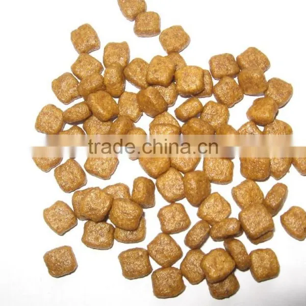 Twin Screw Extruder for Dog Food photo-4