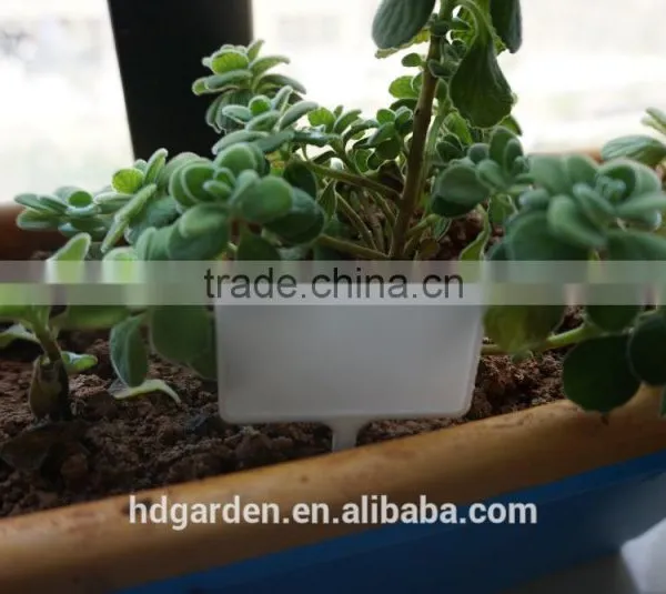 Hot Sale Colored Plastic Plant Marker Tag Wholesale photo-6